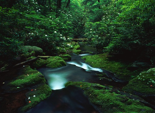 VanCampen Brook, Delaware Water Gap National Recreation Area, Warren County, NJ (MF).jpg VanCampen Brook, Delaware Water Gap National Recreation Area, Warren County, NJ (MF).jpg